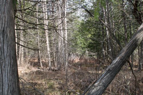 M1 L271 W Ripley Rd, Dexter, ME, 04930 | Card Image