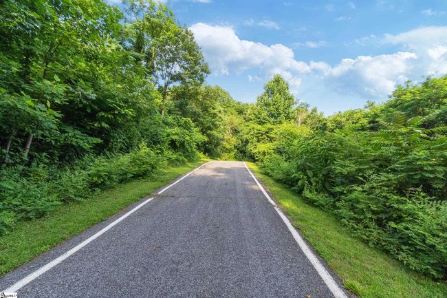 39 Raptor Way, Home with 0 bedrooms, 0 bathrooms and null parking in Landrum SC | Image 29