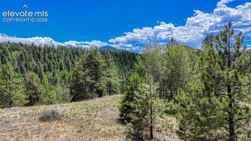 218 Princess Rd, Cripple Creek, CO, 80813 | Card Image