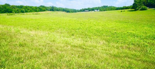 0 Holmes Gap Rd, Alexandria, TN, 37012 | Card Image