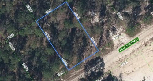 440 Apple Blossom Ct, Lake Placid, FL, 33852-5308 | Card Image