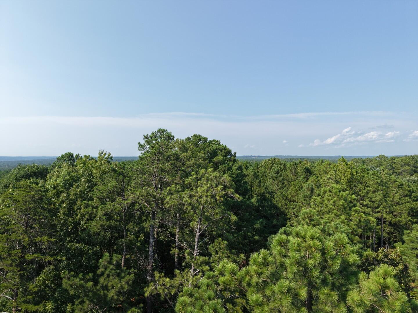 Land in Winnsboro 5