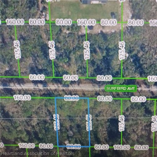 3212 Surfbird Ave, Lake Placid, FL, 33852 | Card Image