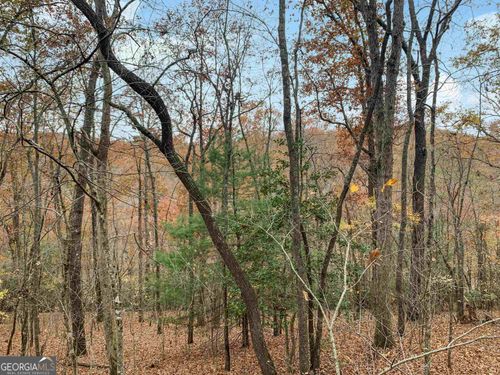 21, 22 Creek Ridge Road, MCCAYSVILLE, GA, 30555 | Card Image