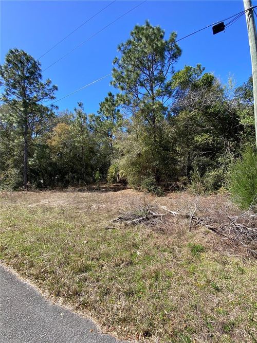 8630 N Catapane Loop, CRYSTAL RIVER, FL, 34428-6923 | Card Image