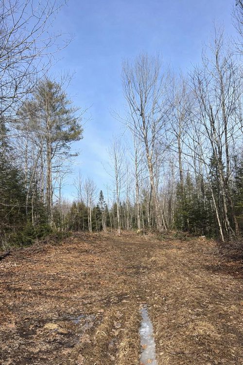 Lot 10 Albion Road, Freedom, ME, 04941 | Card Image