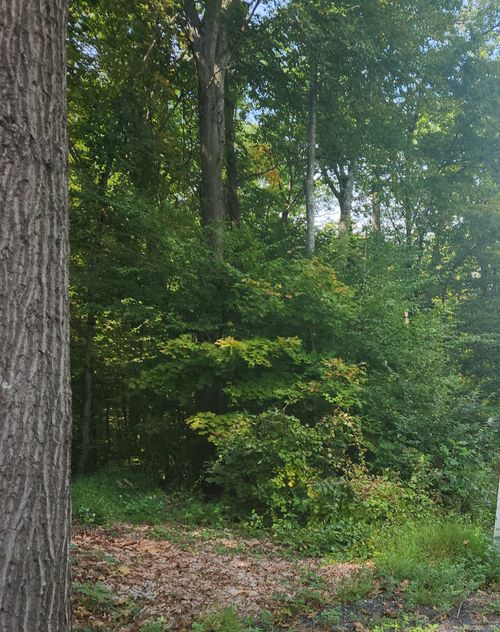 Lot 13 Waterbury Rd, Cheshire, CT, 06410 | Card Image