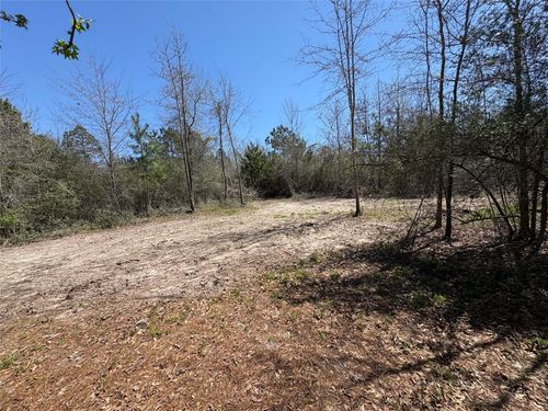 00 County Road 4180, Lovelady, TX, 75851 | Card Image