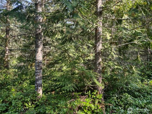 0 Blue Valley Rd, Port Angeles, WA, 98362 | Card Image