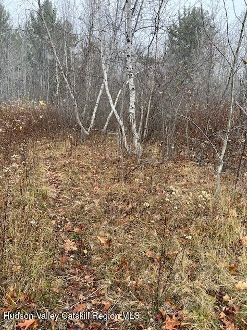 Tbd Goshen St, Jewett, NY, 12444 | Card Image