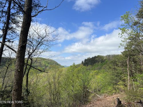 1247 Wind Rush Way, Monterey, TN, 38574-3208 | Card Image