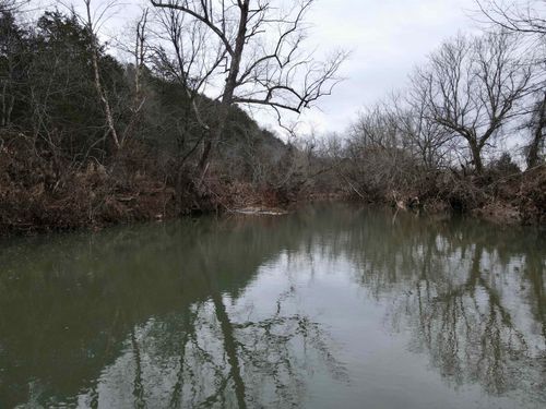 TBD Cedar Park Rd, Viola, AR, 72583 | Card Image