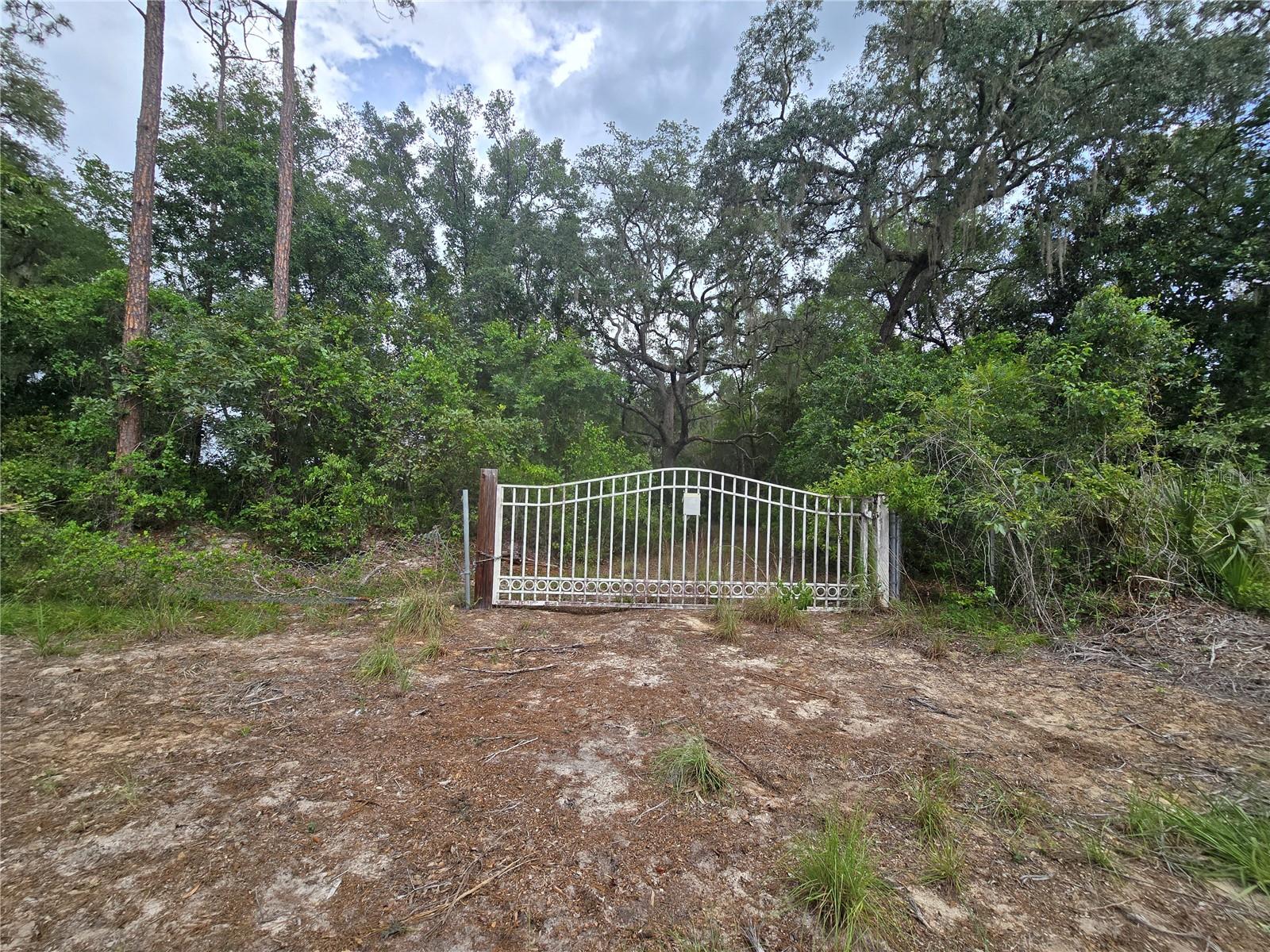 Land in OCKLAWAHA 3