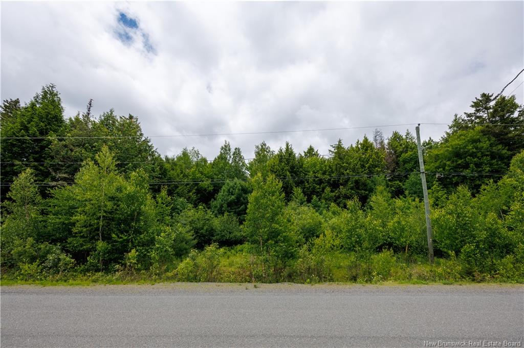 Land in Richibucto Road 4