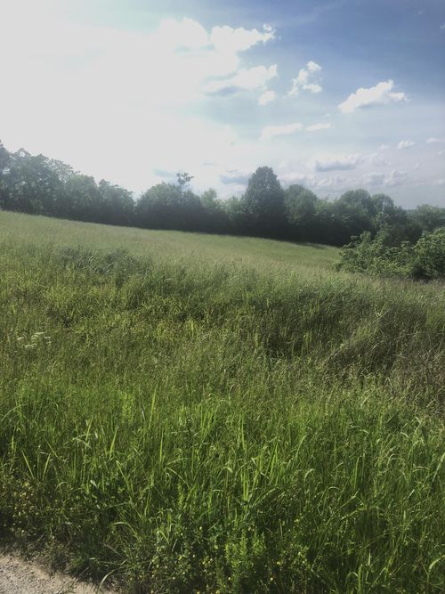 5 Chowning Ln, Bloomfield, KY, 40008-7236 | Card Image