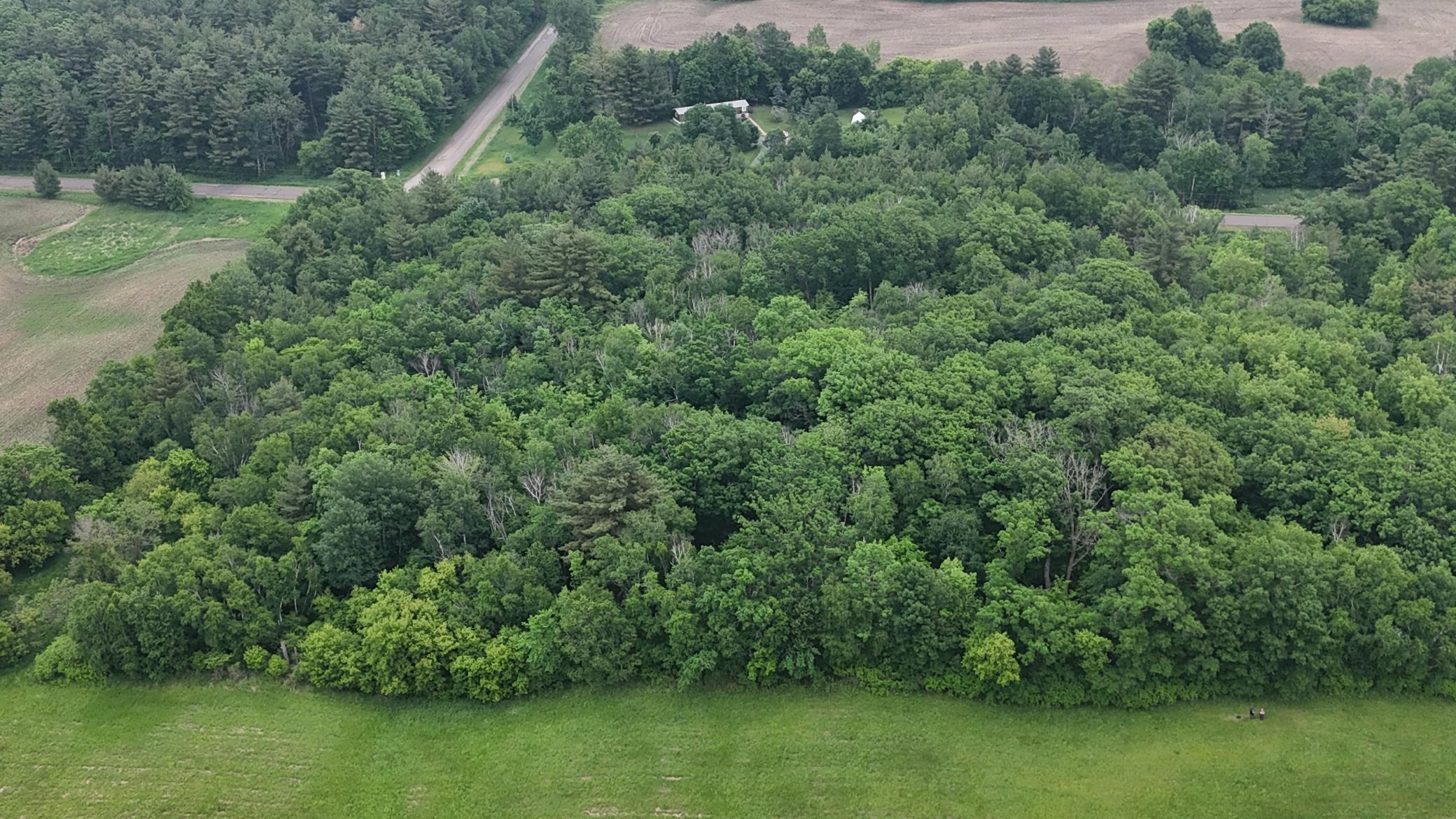 Land in Clayton 4