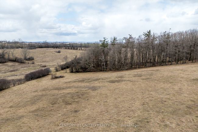 221 County Rd 2, Home with 0 bedrooms, 0 bathrooms and 4 parking in Bailieboro ON | Image 22
