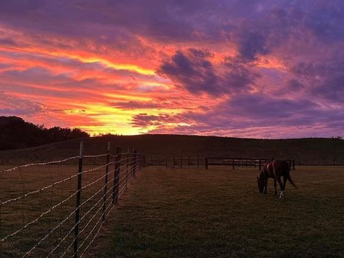 620 Norris Rd, Hustonville, KY, 40437-8577 | Card Image