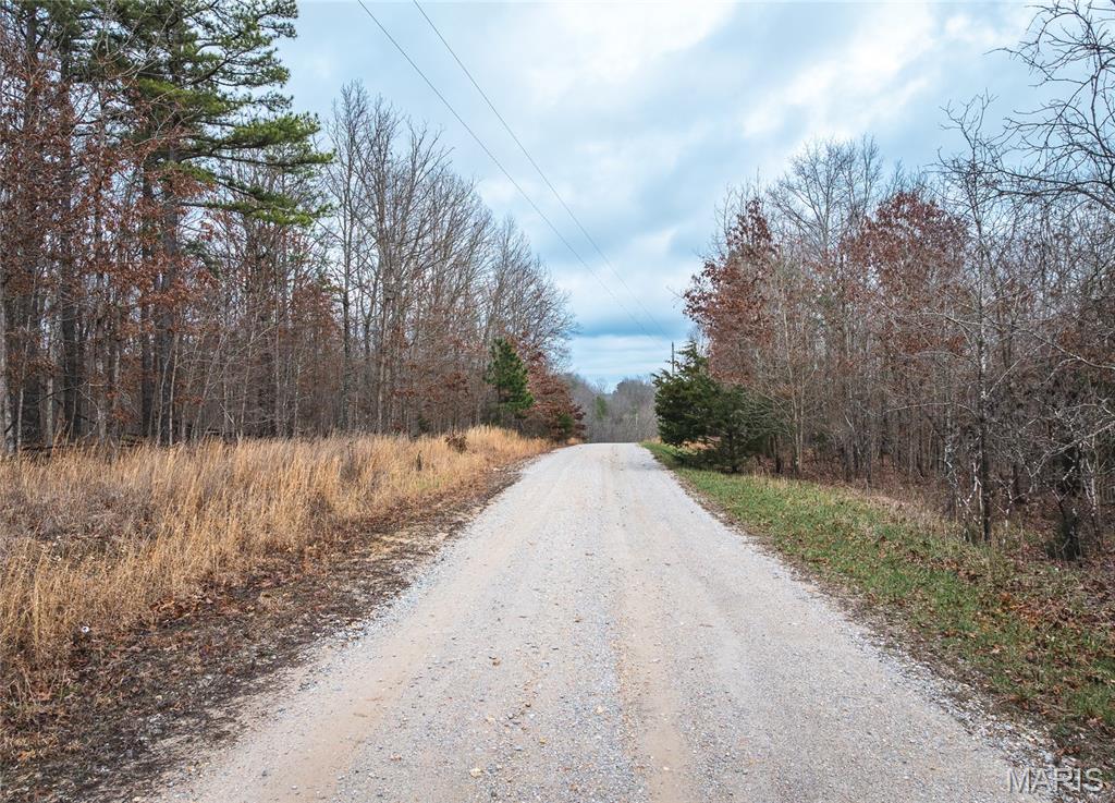 Land in Raymondville 3