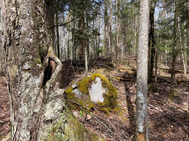 1993 Carter Road, House other with 2 bedrooms, 0 bathrooms and null parking in Burke VT | Image 12