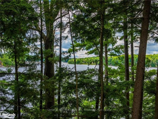 Beautifully treed property | Image 41