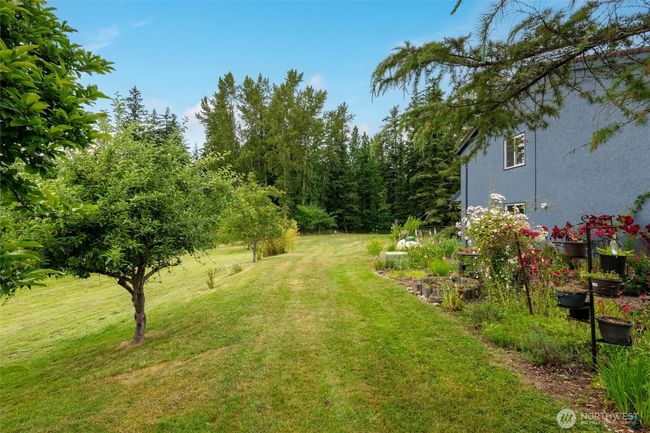 The established fruit trees, grape vines and berries. | Image 38