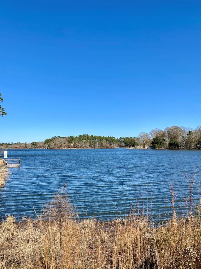 174 Lake David Drive, House other with 3 bedrooms, 2 bathrooms and 2 parking in Picayune MS | Image 19