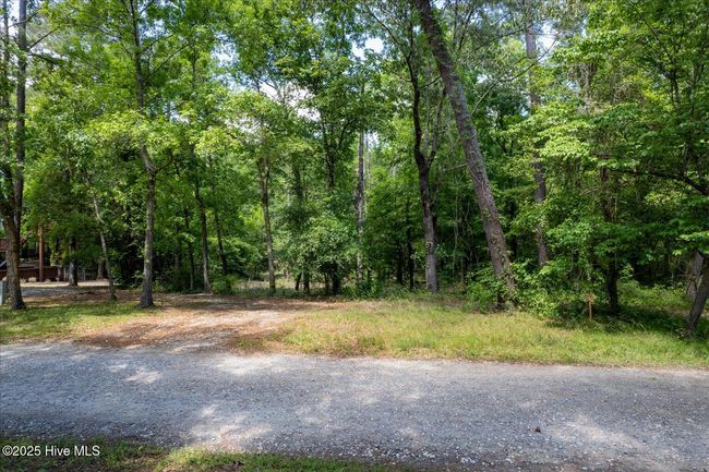 0 Riverview Dr, Home with 0 bedrooms, 0 bathrooms and null parking in Burgaw NC | Image 24