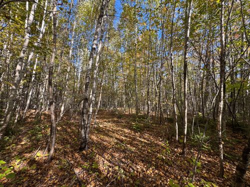 414 Woodland Drive, Carmel, ME, 04419 | Card Image