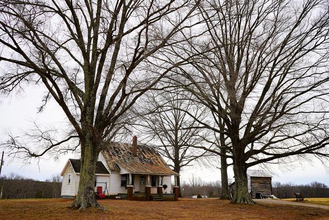 4031 Marion Rd, Home with 0 bedrooms, 0 bathrooms and null parking in Chatham VA | Image 21