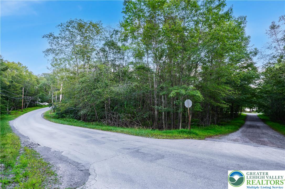 Land in Coolbaugh Twp 4