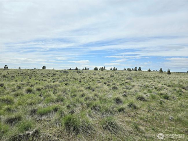 180 Middle Rd, Home with 0 bedrooms, 0 bathrooms and null parking in Bickleton WA | Image 8