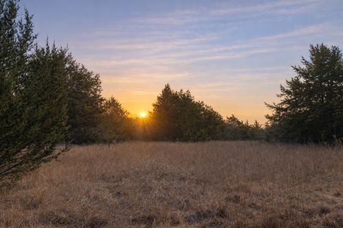 Lots 162A, 162B, 163A Sw Cr 4011, Dawson, TX, 76639 | Card Image