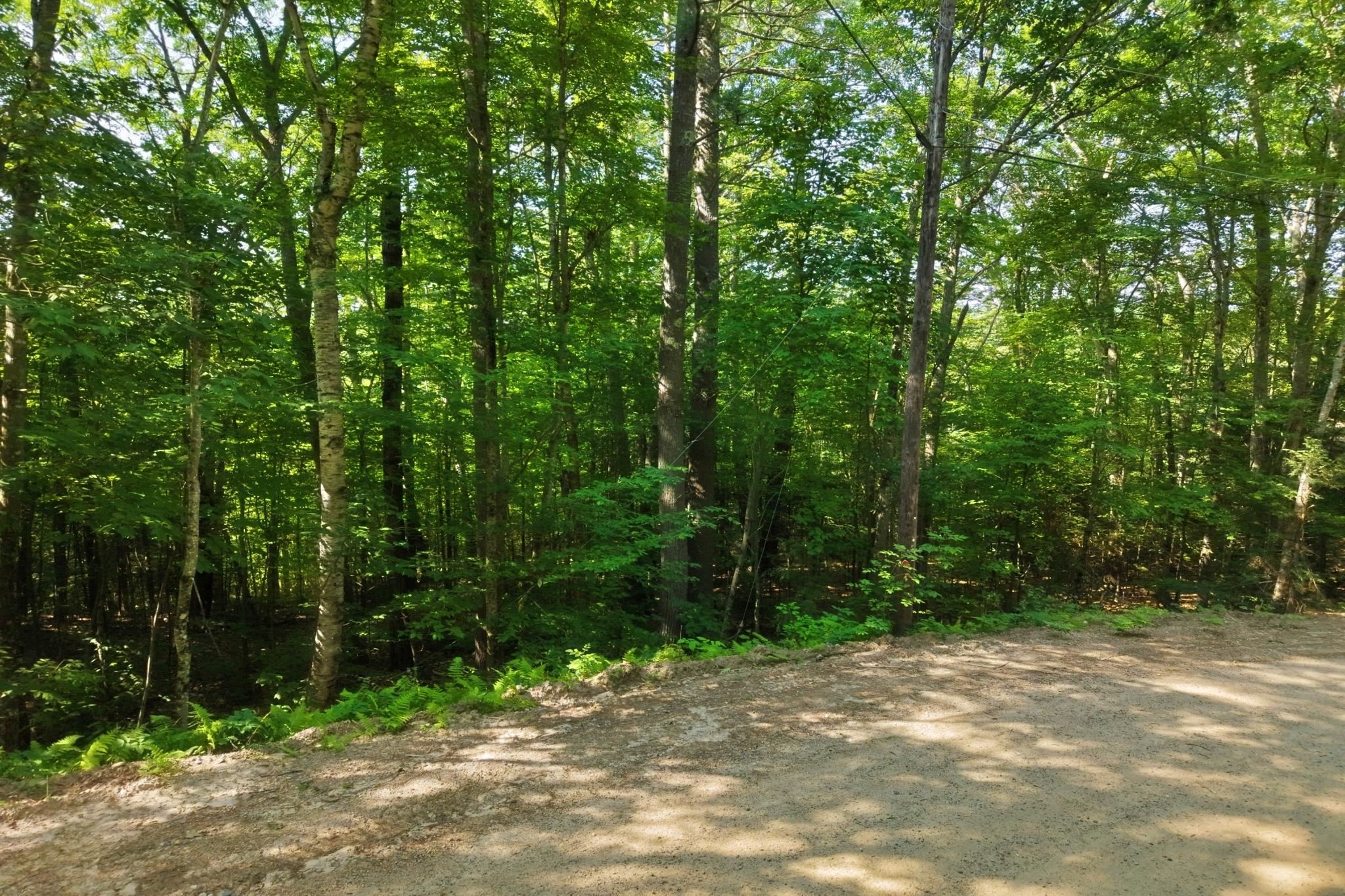 Land in Campton 3