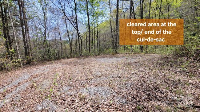 27 - 27 Lacy Fern Rdg, Home with 0 bedrooms, 0 bathrooms and null parking in Sylva NC | Image 4