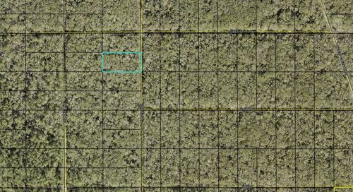 XXX Ruth Ave. Avenue, HASTINGS, FL, 32145 | Card Image