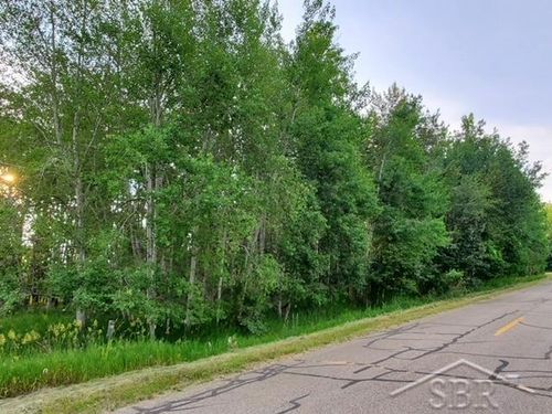 VL S Haven Drive, Butman Township, MI, 48624 | Card Image