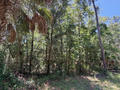 0 Se Highway 19, Inglis, FL, 34449 | Card Image