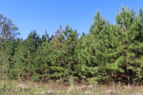 3-15 Farmville Rd, Meherrin, VA, 23954 | Card Image