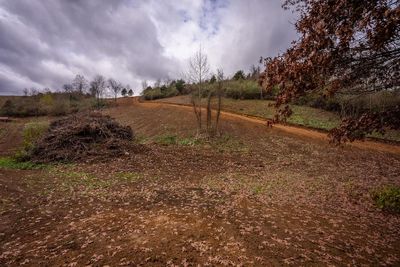 Lot 2 Curve Rd, Home with 0 bedrooms, 0 bathrooms and null parking in Pearisburg VA | Image 1