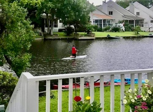 781 Lake Frances Dr, Charleston, SC, 29412-4342 | Card Image
