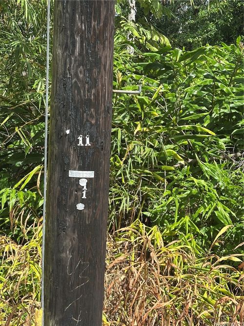 115 Kuhio Dr, PAHOA, HI, 96778 | Card Image