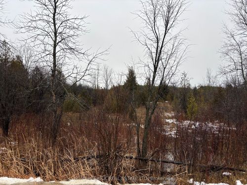 0 County Rd 6, Brockville, ON, K6V5T2 | Card Image