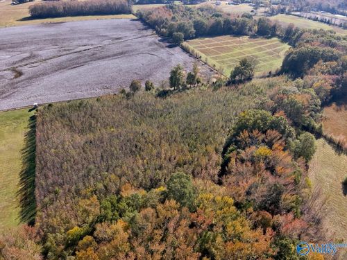 17.82 acres County Road 67, Lexington, AL, 35648 | Card Image