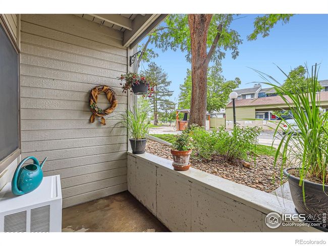 South-facing Patio for all your potted vegetables and flowers | Image 22
