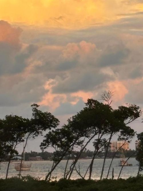 105-27 Harbour Isles Drive, Fort Pierce, FL, 34949 | Card Image