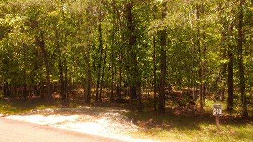 1188 Timberwood Trce, Monteagle, TN, 37356-7663 | Card Image
