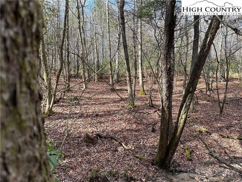 Lot 23 Holly Run, Glade Valley, NC, 28627-8864 | Card Image