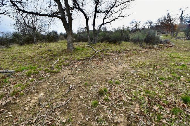 0 Rooster Pl, Home with 0 bedrooms, 0 bathrooms and null parking in Hornbrook CA | Image 17