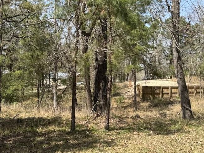 318 Oakwood Ln, Home with 0 bedrooms, 0 bathrooms and null parking in Trinity TX | Image 4